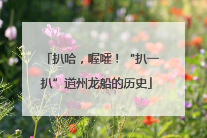 扒哈，喔嚯！“扒一扒”道州龙船的历史